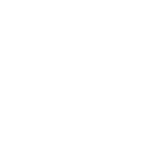 DEEP RHYMES logo white def2